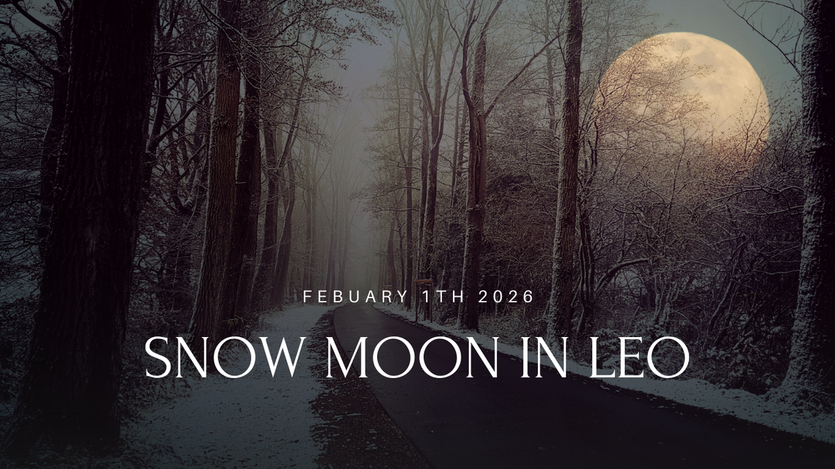 February 1st Full Moon: The Snow Moon and Its Quiet Power – Moon Goddess Co